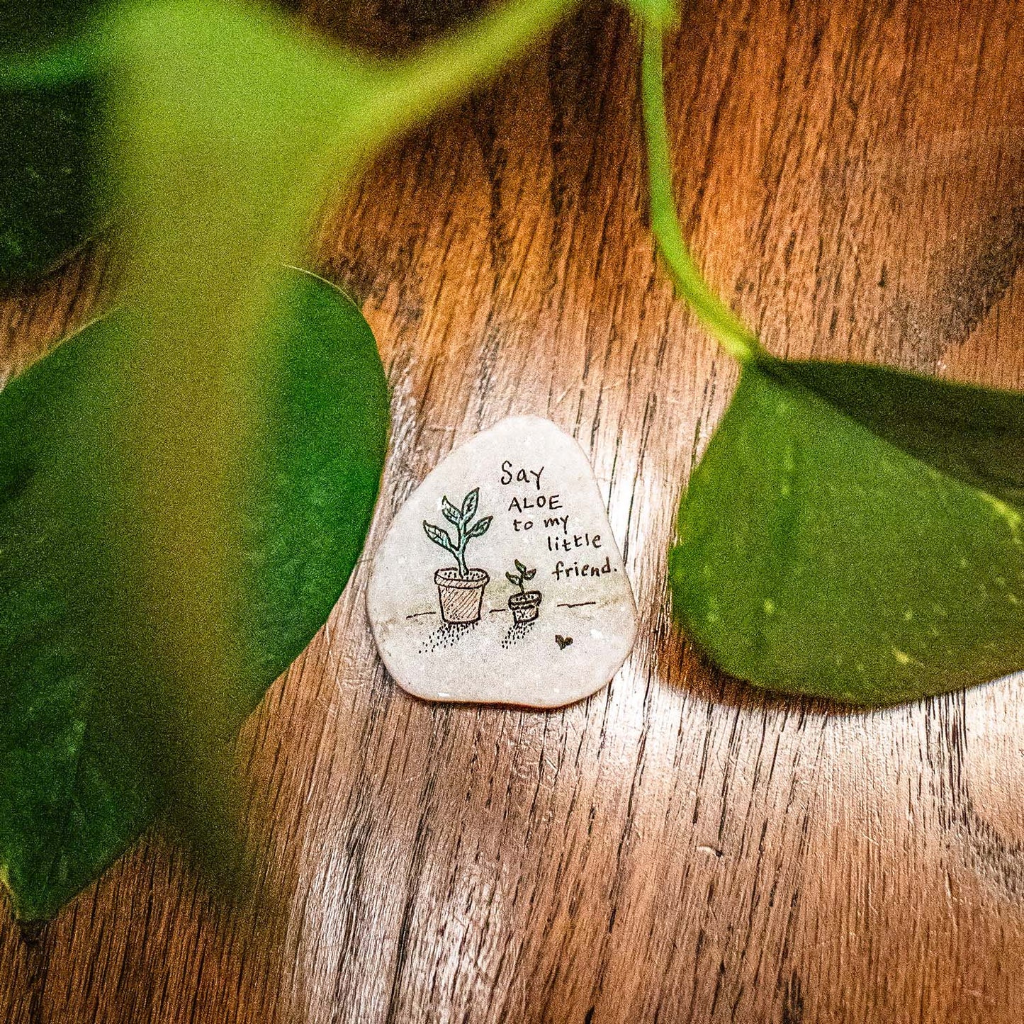 Stone art magnet 29 say aloe to my little friend