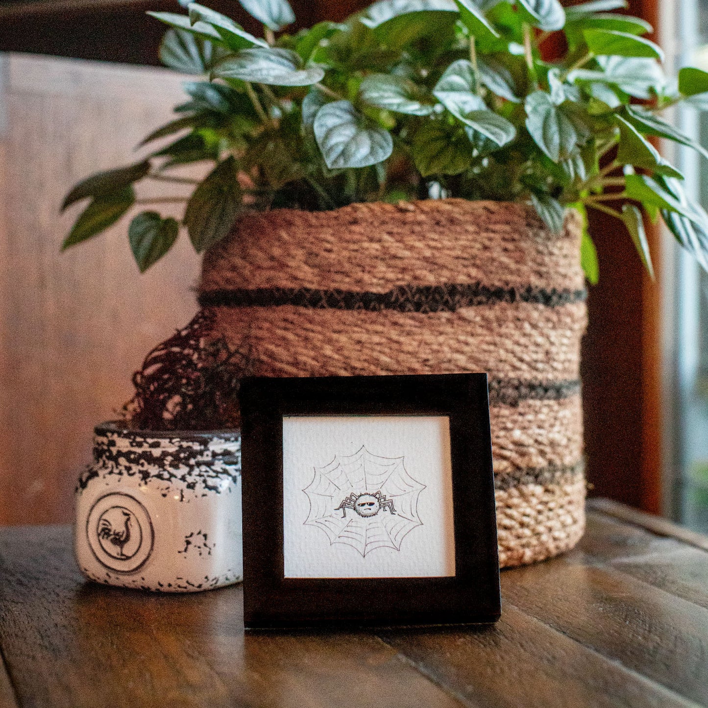 Framed Illustration - 2 spider